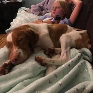 Meet your Posher, Sean